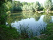 Le moulin de Mousseau