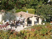 Le Muscardin