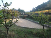 Le Muscardin