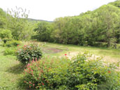 Nabat le Haut