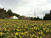 Domaine de Nayemont - La Chaume