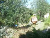 Nostre Pantai