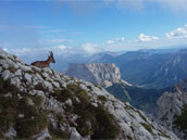 L'Oasis du Vercors