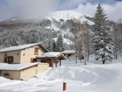 Gîte De L'Ours Brun