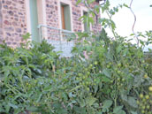 L'Oustal Del Pastre