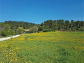 L'Oustaou du Luberon