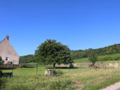 Le Petit Luquis