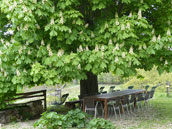 La Ferme du Petit Ségriès