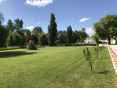 Le Petit Sorin