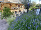 Gîte du Pied de Biche