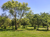 Gîte Les Pieds dans l'Herbe