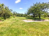 Gîte Les Pieds dans l'Herbe