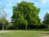 Domaine des Mille Oiseaux