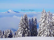 Chalet Plein Sud 1000