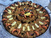 Domaine du Plot de Meyras