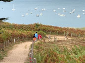 Pointe du Meinga