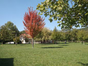 Pordatach
