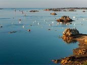 Centre de Vacances de Port Blanc