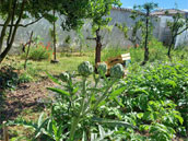 Gite d'étape collectif Le Portail Ouvert