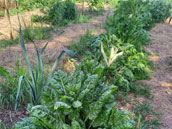 Gite d'étape collectif Le Portail Ouvert