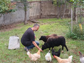 Gite d'étape collectif Le Portail Ouvert