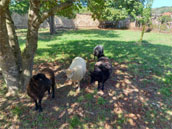 Gite d'étape collectif Le Portail Ouvert