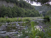 Les Portes de l'Ardèche