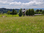 Gîte de la Poucinière