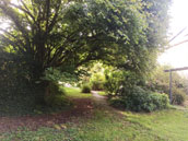 Gites de la forêt de Poulmarvezen