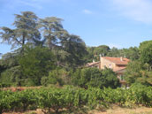 Domaine La Prévote