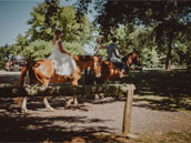 Domaine Puech Merlhou