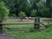 Ranch de la Baie des Phoques