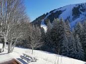 Chalet du Rati Boisé
