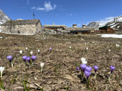 Refuge du Roc