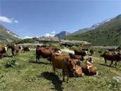Refuge du Roc