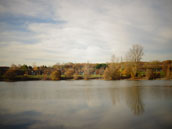 Le Domaine d'Ariane