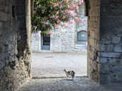 Gite La Ritournelle Ruoms