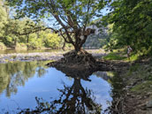 Gite La Ritournelle Ruoms