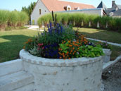 Rives et Regard sur le Cher