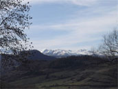 Les Roziers