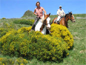 Sancy Accueil