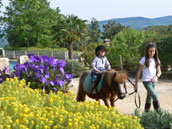 Le Hameau du Sentier des Sources