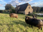 Le Hameau du Sentier des Sources