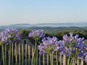 Le Hameau du Sentier des Sources