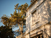 Le domaine du Séquoia