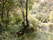 Aire de la Séranne
