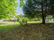 La Symphonie de la Forêt
