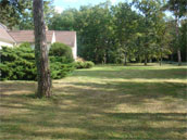 La Symphonie de la Forêt