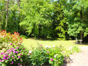 La Symphonie de la Forêt