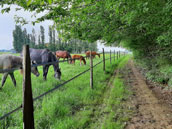 Gites des Tesnières